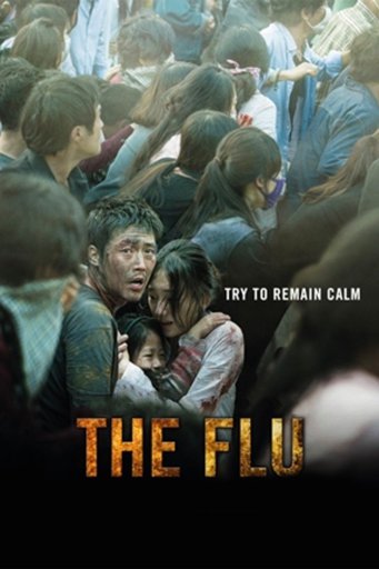 Flu (2013)