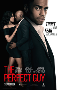 The Perfect Guy (2015)