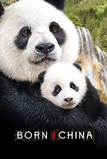 Born in China (2016)