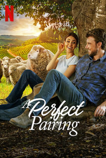 A Perfect Pairing (2022)