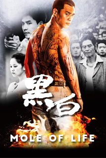 Mole of Life (2016)