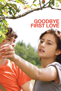 Goodbye First Love (2011)