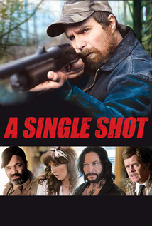A Single Shot (2013)