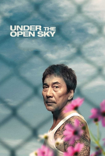 Under the Open Sky (2020)