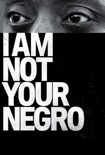 I Am Not Your Negro (2016)